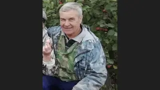 В Красноярском крае ищут пропавшего в лесу пенсионера
