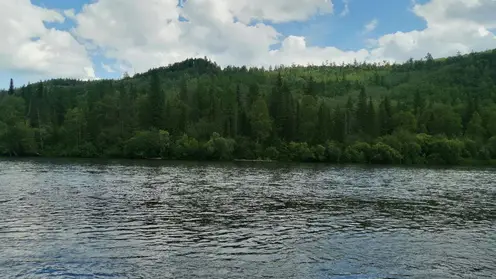 Красноярцам разрешили купаться в озеро-парке «Емельяновское» 