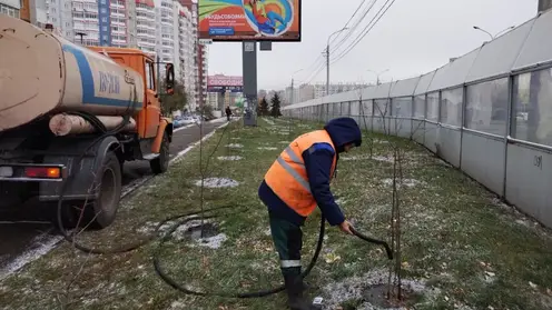 Красноярские озеленители помогают деревьям в городе создать запас влаги на зиму