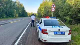 Госавтоинспекторы организуют рейды на дорогах Красноярска и Дивногорска