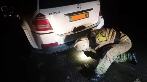 Автомобиль чуть не утонул на Алтае, когда водитель пытался проехать по затопленной дороге