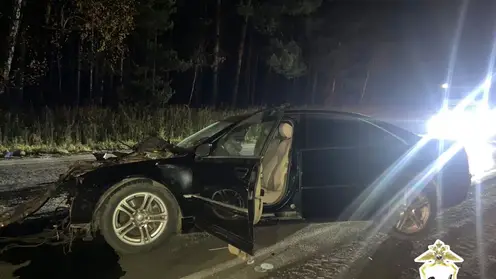 В Тайшетском районе погибла пассажирка в ДТП