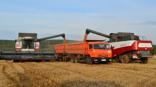 В Красноярском крае аграриям рассказали об обновленных условиях мер поддержки