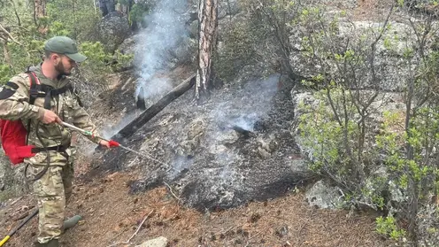В Саяно-Шушенском заповеднике из-за грозы случился пожар