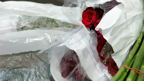 Более 3 тыс. зараженных вредителем роз сожгли в Иркутске